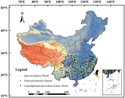 Predicting the response of three common subtropical tree species in China to climate change